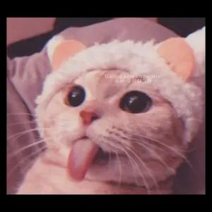 fcugbs