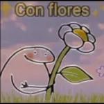 rosas 