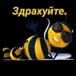 Всё 