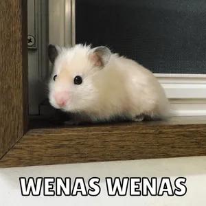 l0gnyg