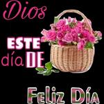 feliz día 