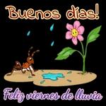 Viernes 