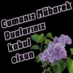 amin