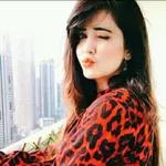 Dafter rozgar واش کیس کیس