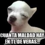 risas 
