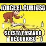 sjfjfd