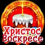 My Pack 8