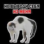 ебать - копать