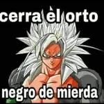 goku 122