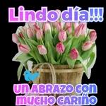 lindo día