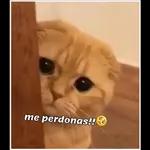 estoy extrañando demasiado