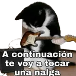 jajaja