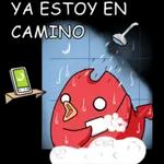 na creo