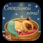 спокойной ночи