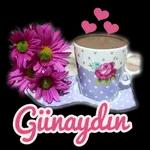 kupqeli yalovam