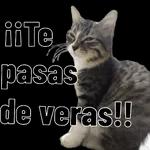 gracias