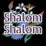 Shalom