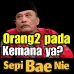 jgn didengerin dia lg kumquat