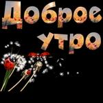 My Pack 26