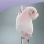 Me asusté hasta la muerte