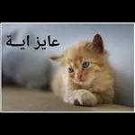 اشتقتلك يا حبيبتي