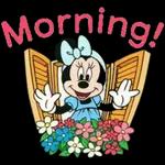 wishing you a splendid day ahead ☀️