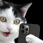n8ce