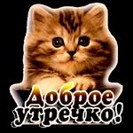 с добрым утром 2