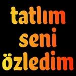 Yusuf 1975