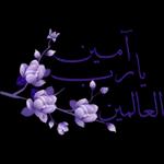 اضافه الى الوتس