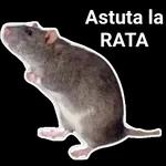 rata