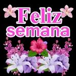 3DIAS SEMANA/FIN SEMANA03