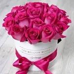 Love is the best thing in the world.