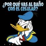 estiquer 