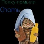 спокойной ночи