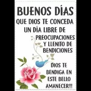 lmvoa8q