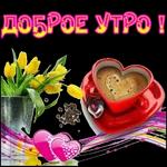 Доброе утро  ☀  ☀