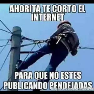 24y6l1b