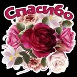 спасибо