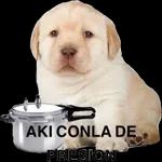 Déjame barrer tu horrible sticker