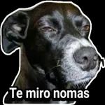 Te Amó Nunca lo olvides mi amor