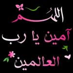 يا هلا ومسهلا