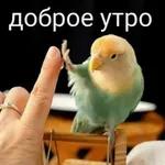 Доброе утро.