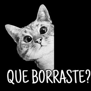 QUE BORRASTE? Shasep Arsenas  - getsticker.com