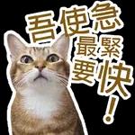 Take Easy