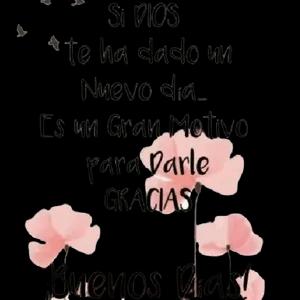 dsab6b