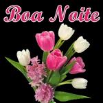 Cumprimentos amigos ( as )