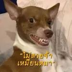 ขอบตาบอกไม่ไหว แต่หัวใจก็มา ค้าบ