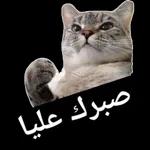انت مین سمحلك تتكلم بلا