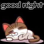 good night3